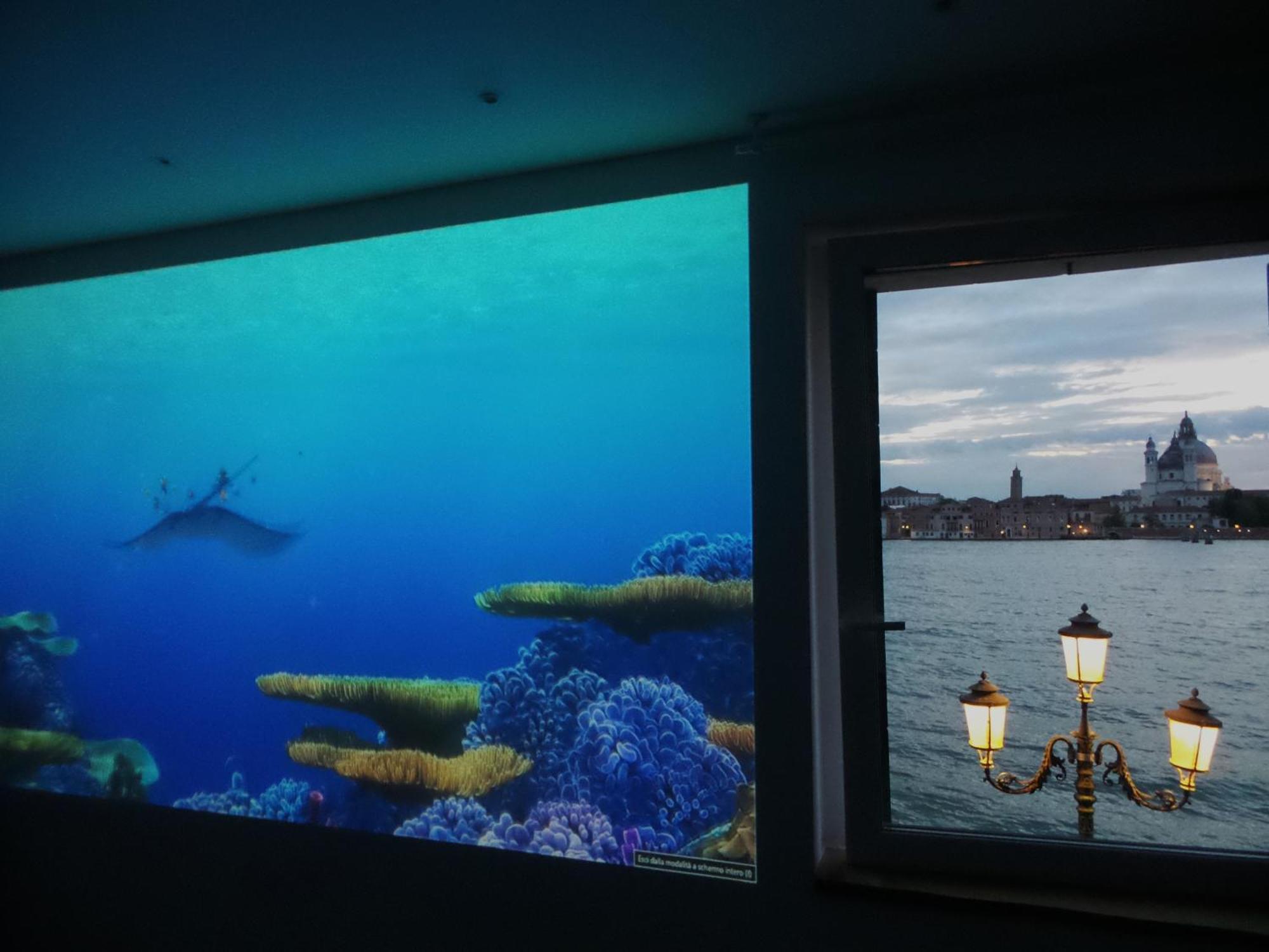 3 Windows On St Mark - Waterfront Apartment เวนิส ภายนอก รูปภาพ